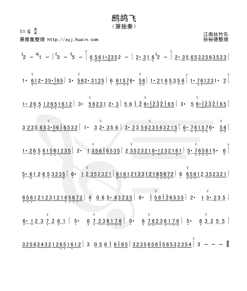 鹧鸪飞