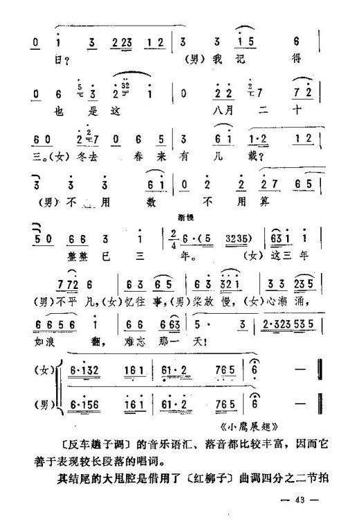 ת31-45